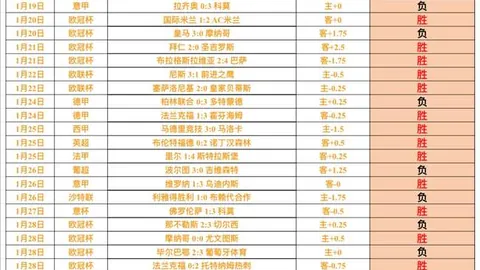 辛纳澳网击败贾里，再创跨年连胜佳绩