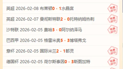 雲達不萊梅足球俱乐部概览